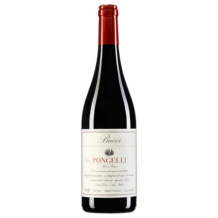 Uveggiando - BUCCI - “Pongelli" Rosso Piceno - DOC