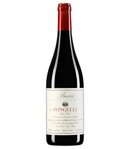 Uveggiando - BUCCI - “Pongelli" Rosso Piceno - DOC